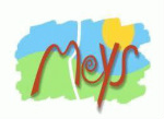 logo_meys